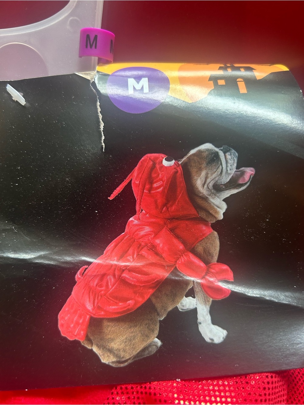 Lobster Dog Costume - Medium